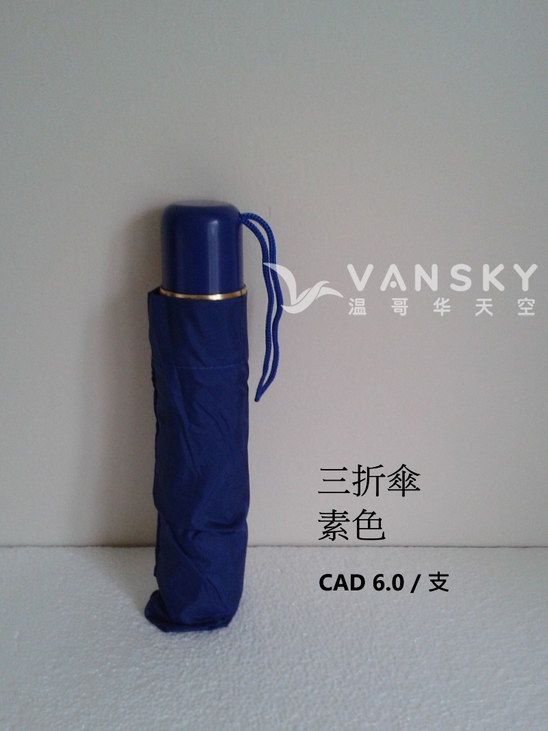 260210074623_3 fold.jpg